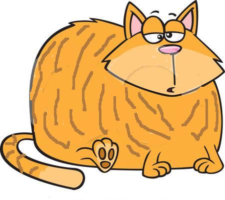 The Fat  Cat  Epidemic How my cats  got the weight off and 
